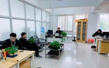 招就处主任述职报告优质6篇