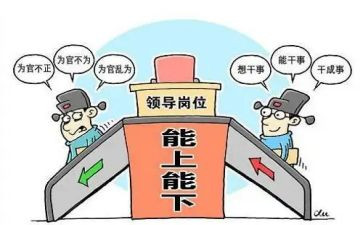 乡镇副镇长述职述廉报告7篇