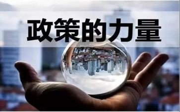 双减政策老师的心得体会7篇
