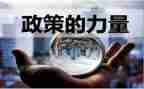 双减政策老师的心得体会7篇