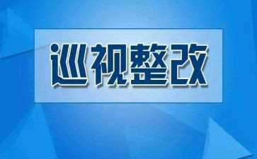 作风整改心得体会5篇