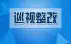 作风整改心得体会5篇