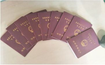 政工师述职述职报告8篇