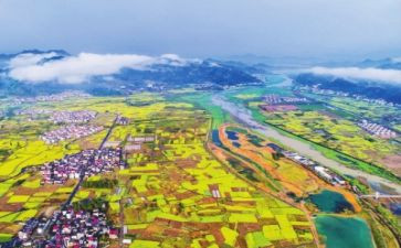 振兴乡村的调研报告8篇