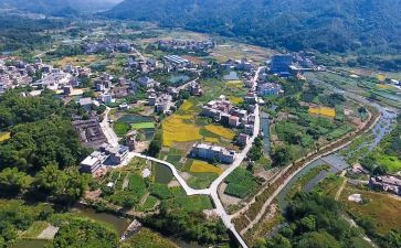 关于乡村振兴调研报告5篇