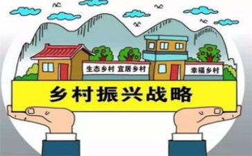 乡村振兴等工作总结参考6篇
