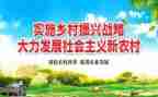乡镇乡村振兴工作总结7篇