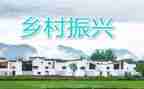 乡村振兴工作总结总结8篇