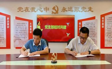 非党支部述职报告通用8篇