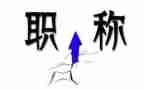 职称护理述职报告5篇