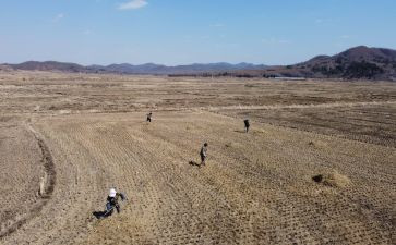 2024年城乡社区治理工作总结5篇