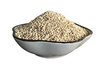 小芝麻的读后感8篇