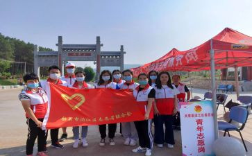 志愿服务工作总结模板5篇