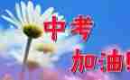 语文作文中考范文7篇