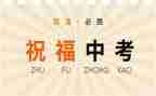 《我的中考》作文7篇