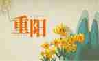 重阳节商场活动策划8篇