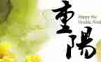 重阳节的心得体会推荐6篇