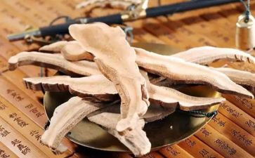中药师述职报告范文8篇