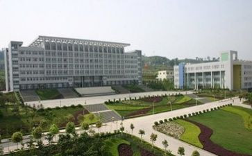 中专学生毕业自我鉴定模板8篇