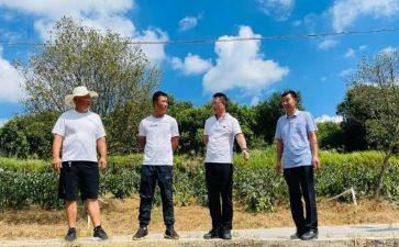 个人驻村工作总结通用7篇