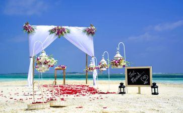 2024年婚礼主婚人致辞稿5篇