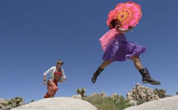 追逐阳光作文优质8篇