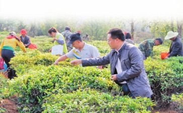 大病救助农村申请书6篇