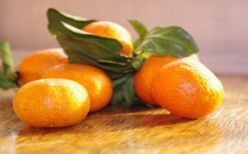 幼儿园橘子树教案5篇