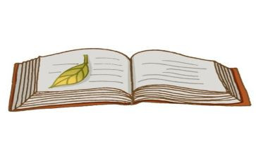 子衿的读后感600字5篇