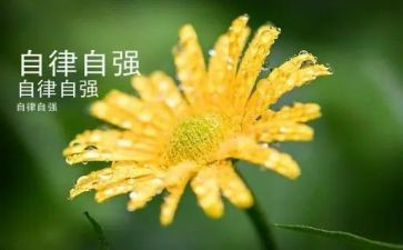 自强不息演讲稿800字6篇