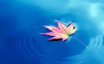 写大自然的作文400字8篇