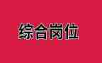综合岗述职报告优秀6篇