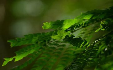 党的宗旨的心得体会6篇