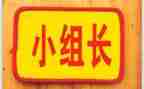 竞选青协组长演讲稿5篇
