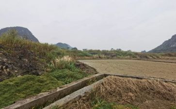 自建房房屋租赁合同5篇