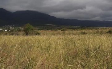 经营类房屋租赁合同最新8篇