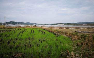 小区房屋租赁合同模板7篇