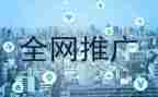做推广的工作总结6篇